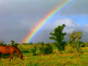 Foto Regenbogen