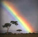 Regenbogen Foto Regenbogen